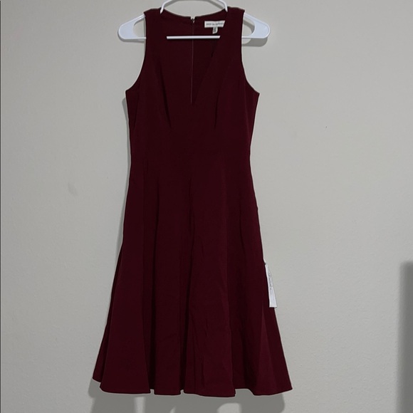 Dress the Population Dresses & Skirts - Dress the Population Red Sleeveless A-Line Mini Dress